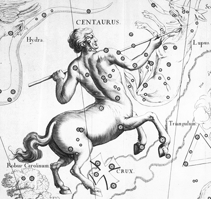 The constellation Centaurus, celestial map by Johannes Hevelius